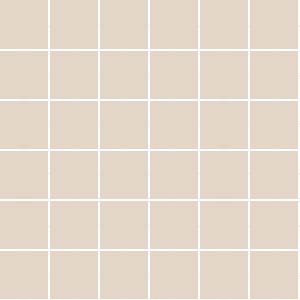 5x5 Color Neutral Tile Ral 0808010 Matt