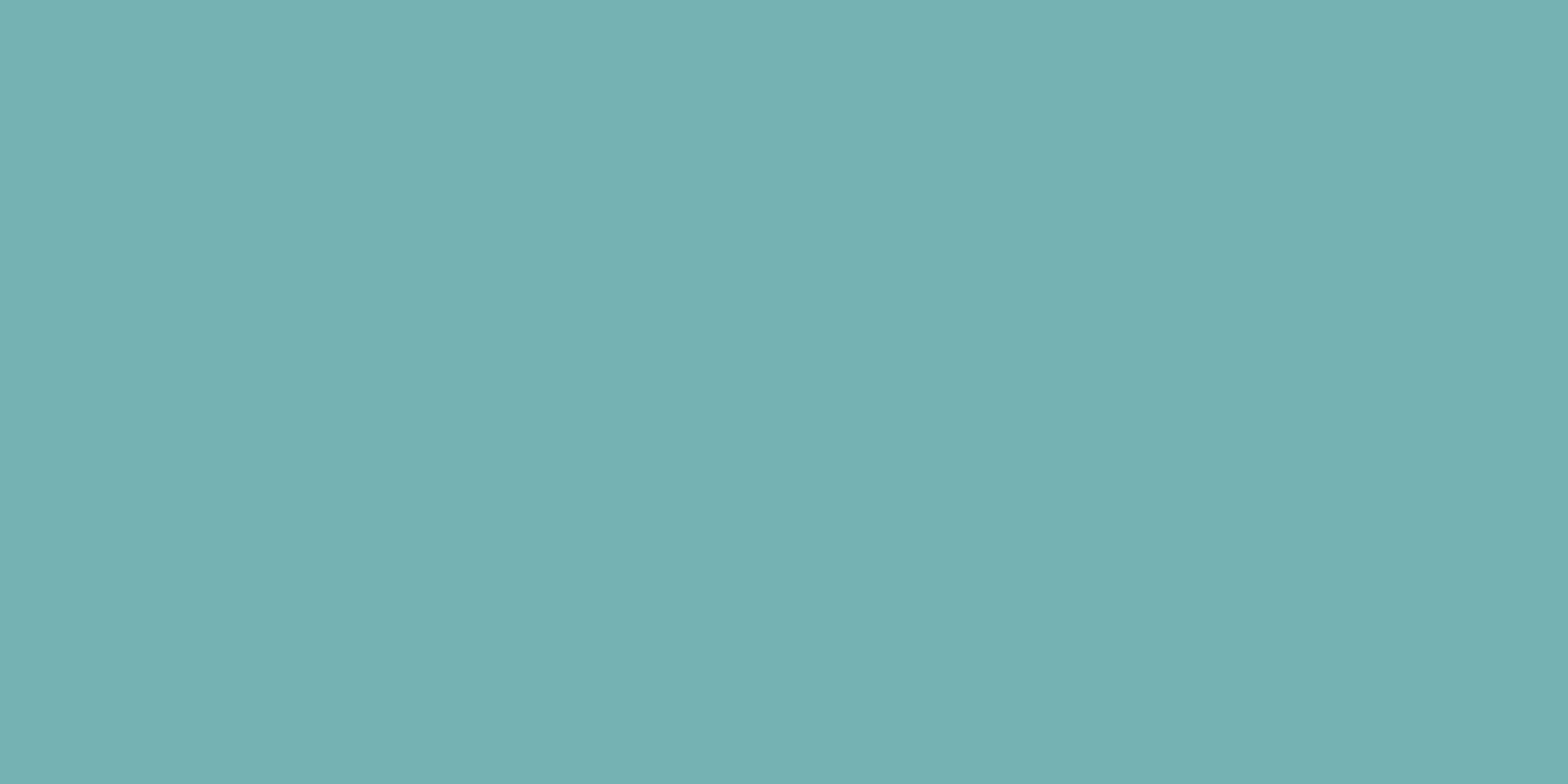 12.5x25 Color Aqua Tile Ral 2006020 Matt