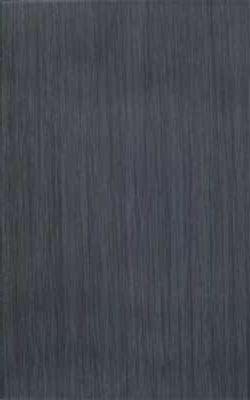 25x40 Elegant Tile Anthracite Matt