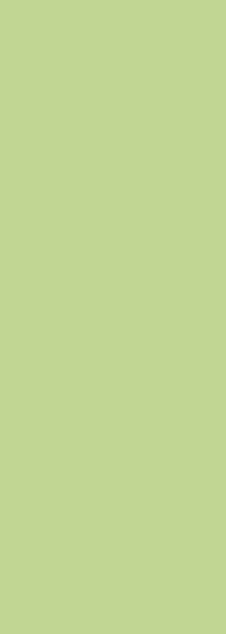 25x70 Renkler Tile Green Glossy