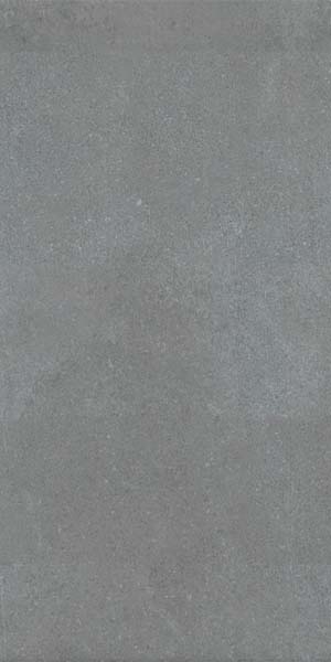 30x60 Piccadilly Tile Grey Semi Glossy
