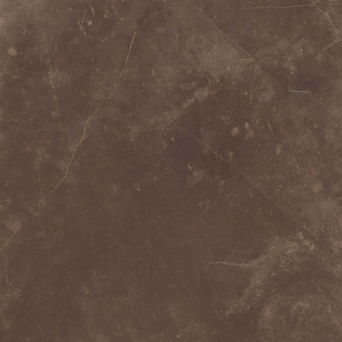 60X60 Pulpis Tile Bronze Glossy