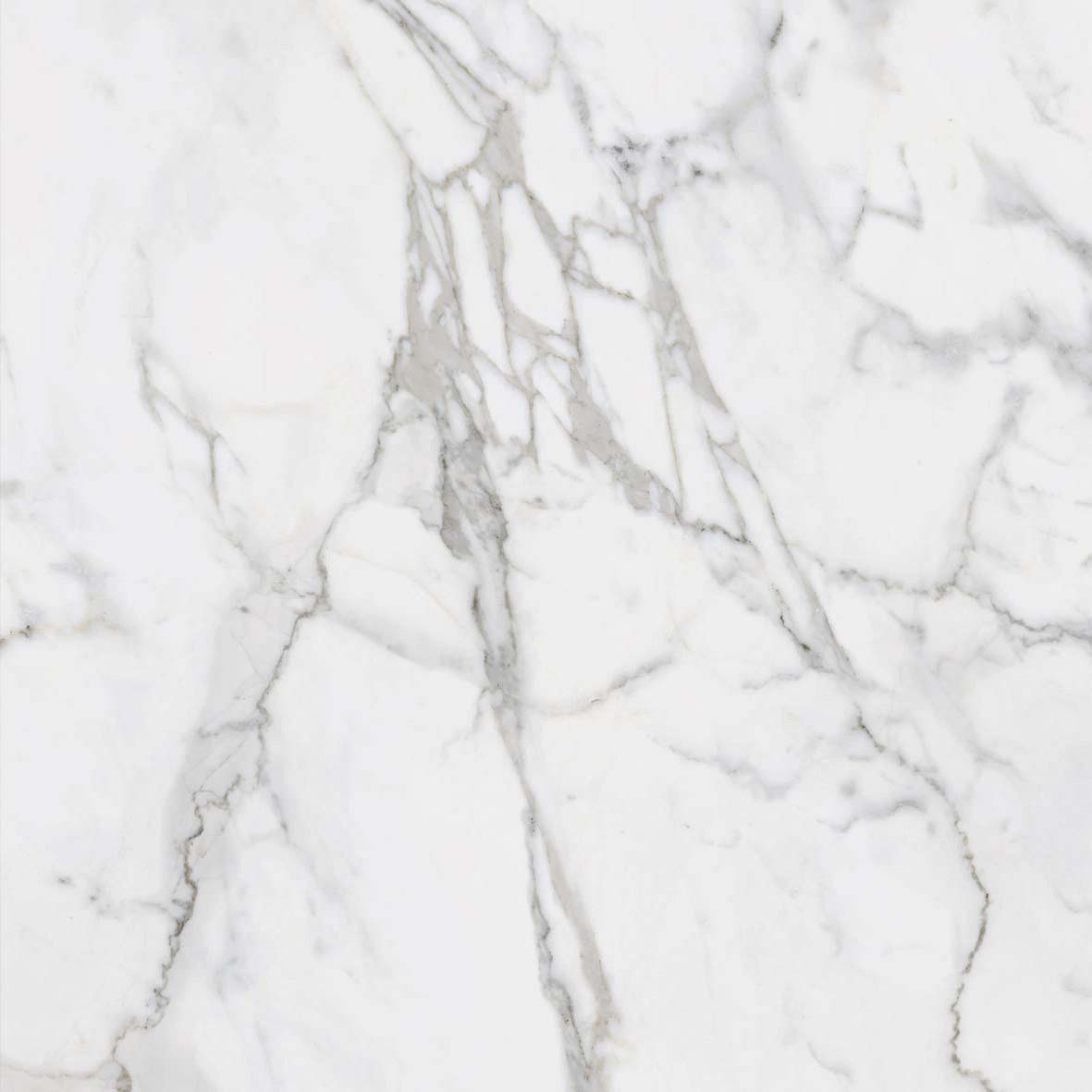 60X60 Calacatta Tile White Glossy