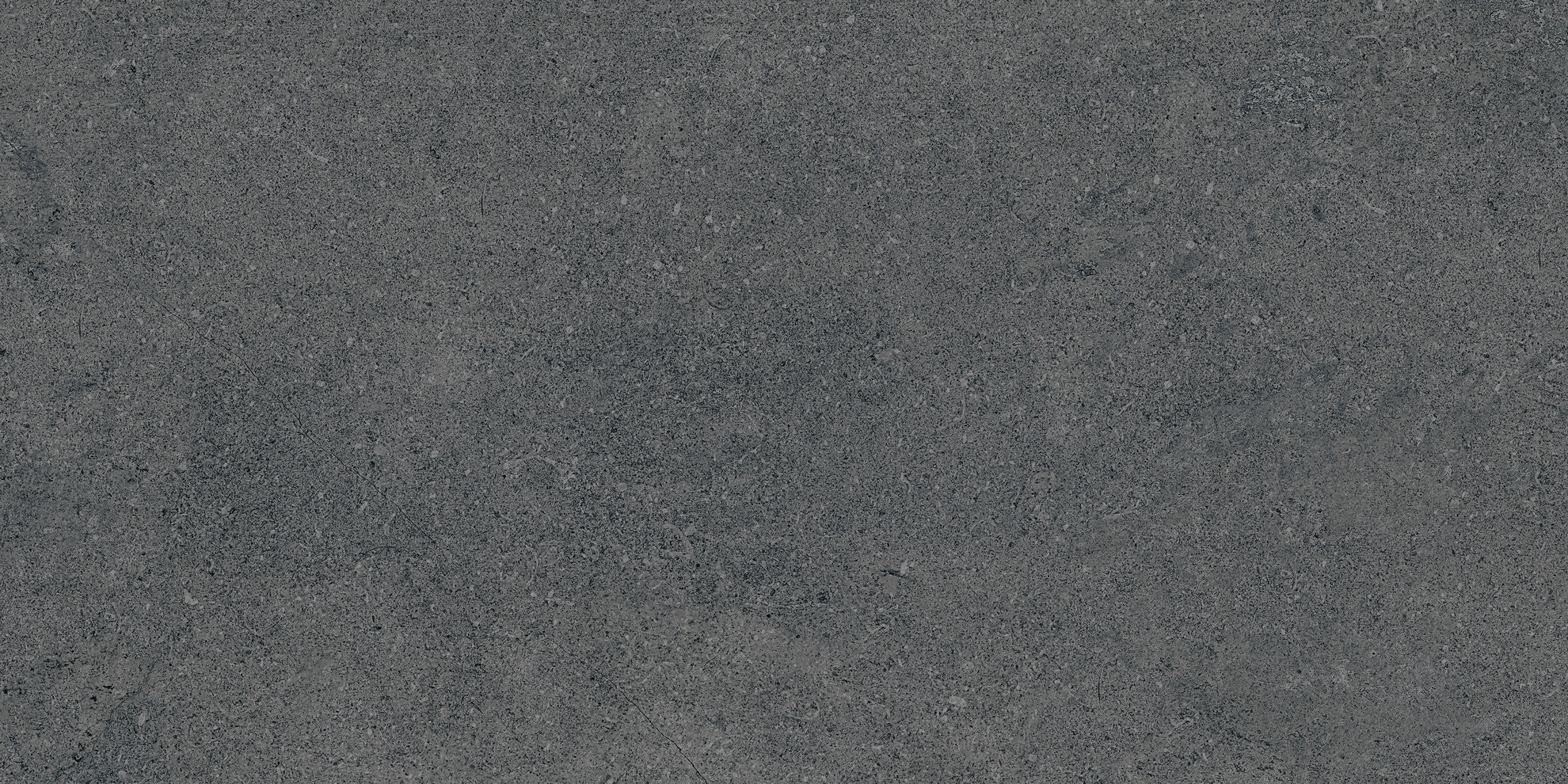 30x60 Newcon Tile Dark Grey Semi Glossy