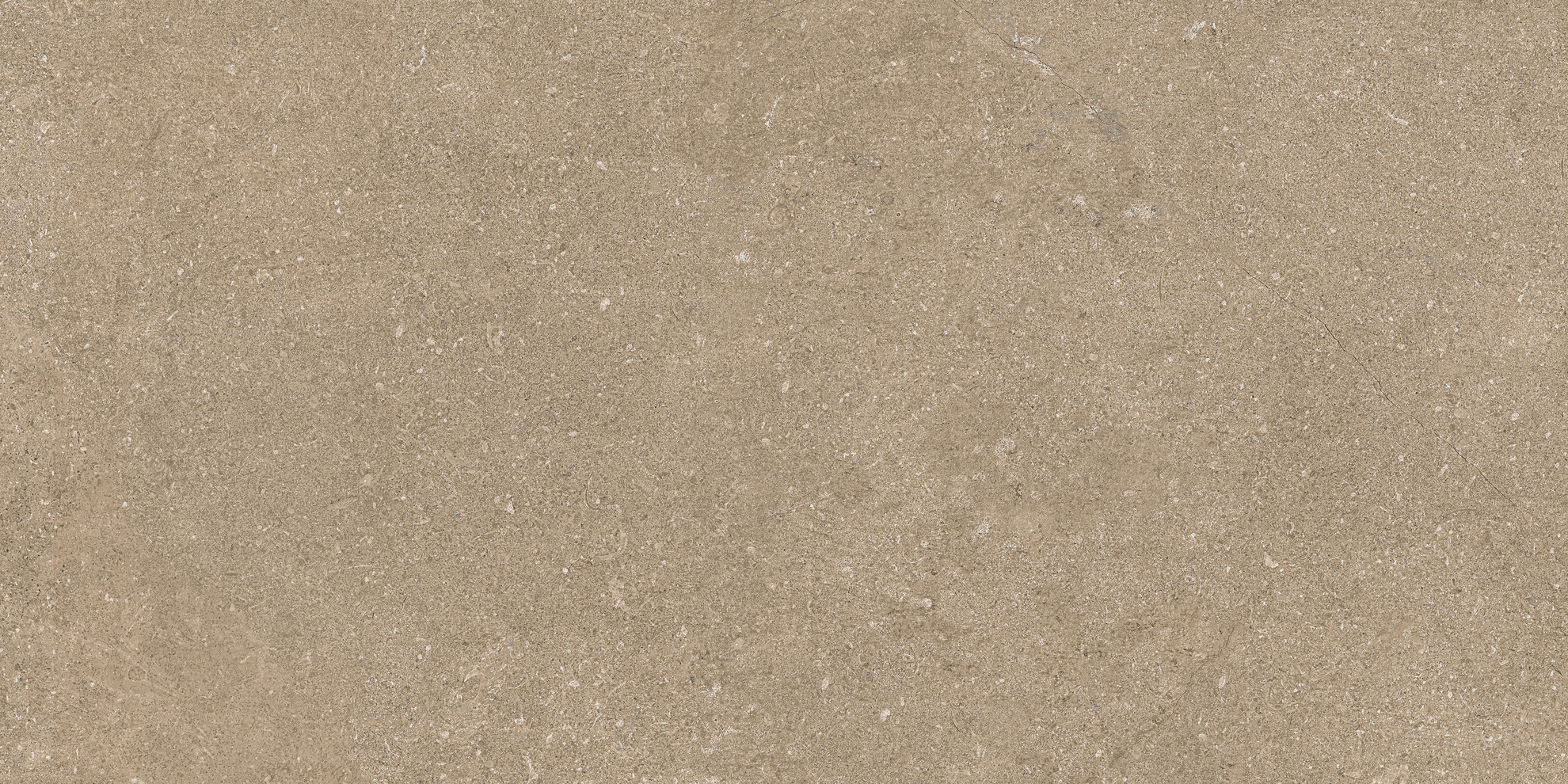 30x60 Newcon Tile Taupe Semi Glossy