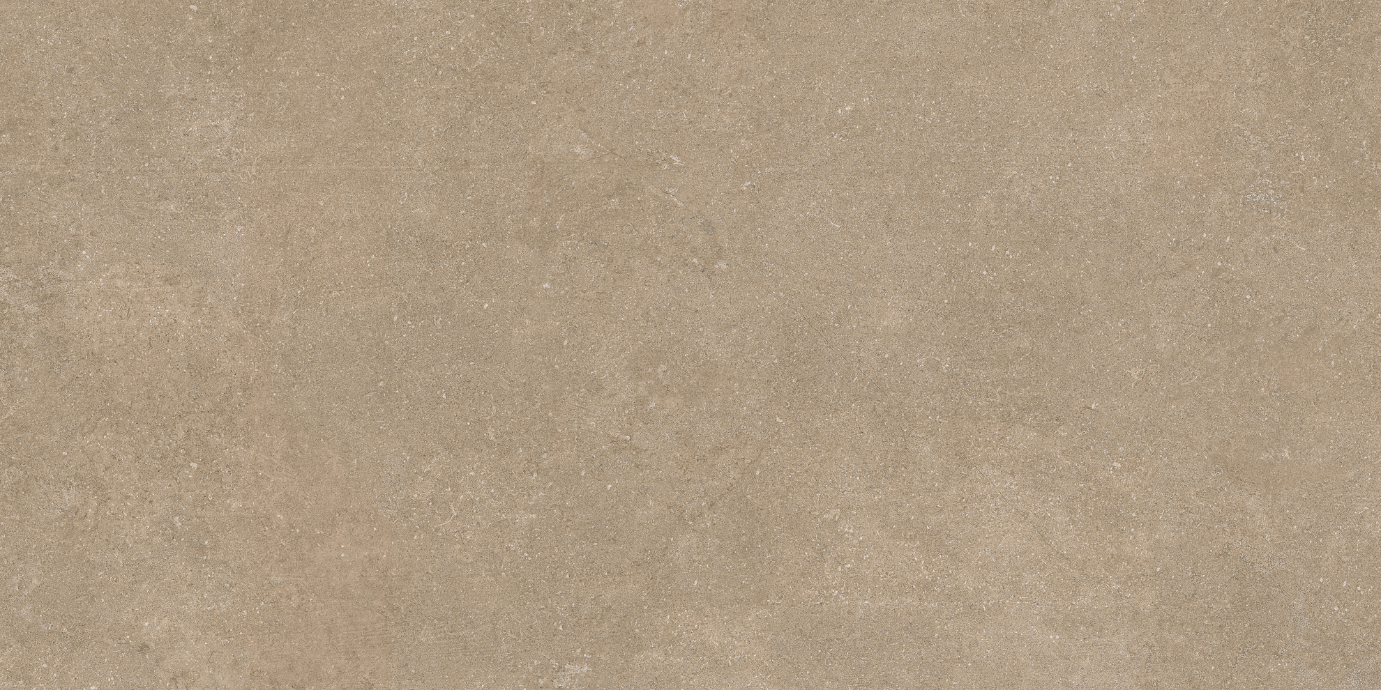 60x120 Newcon Tile Taupe Matt