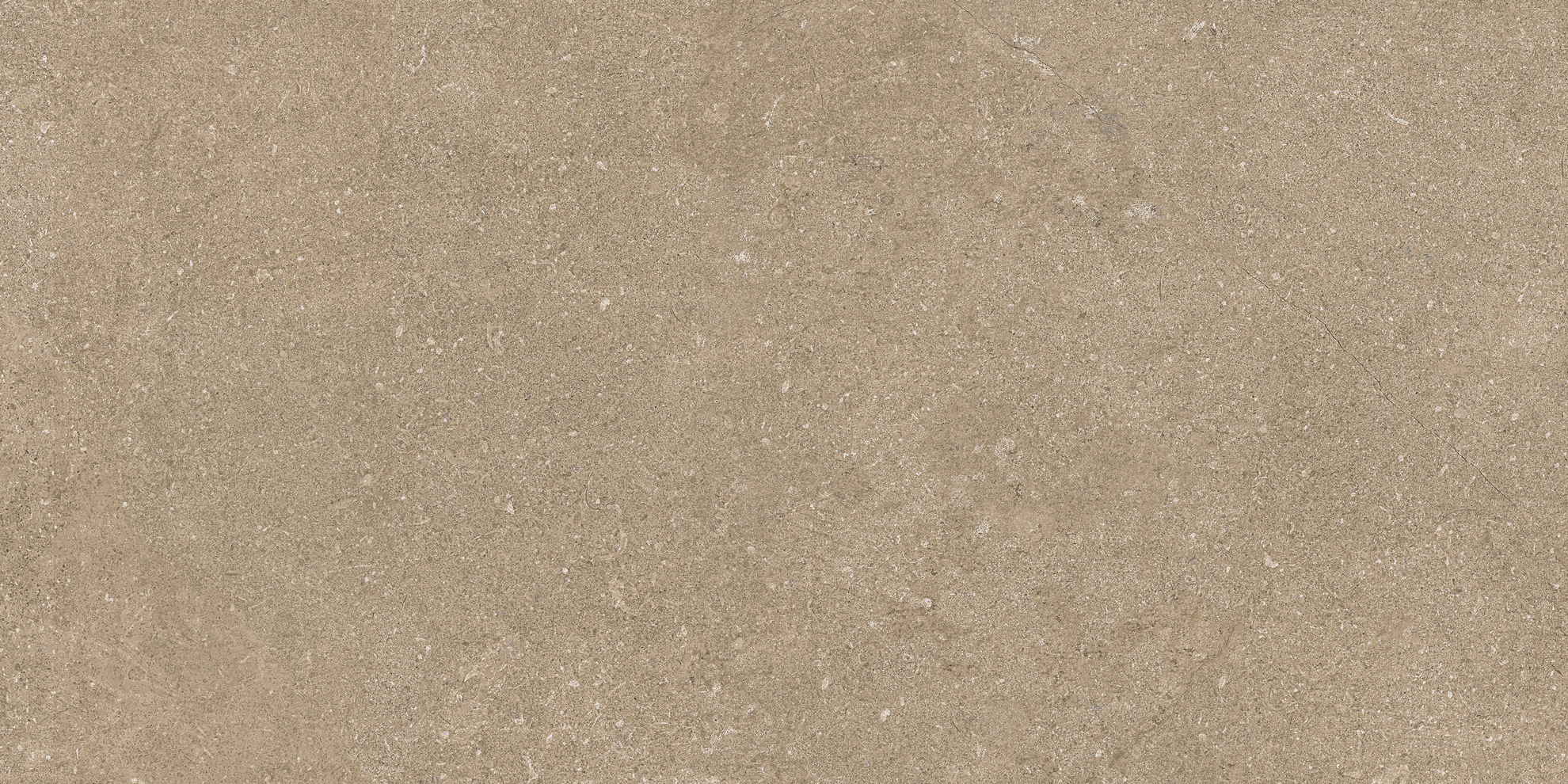 30x60 Newcon Tile Taupe Matt